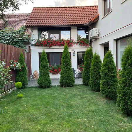 La Podul Cetatii
